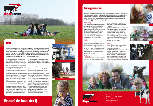 flyers_hippekoeien_big